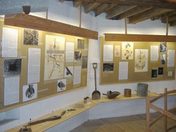 Exhibition Floor